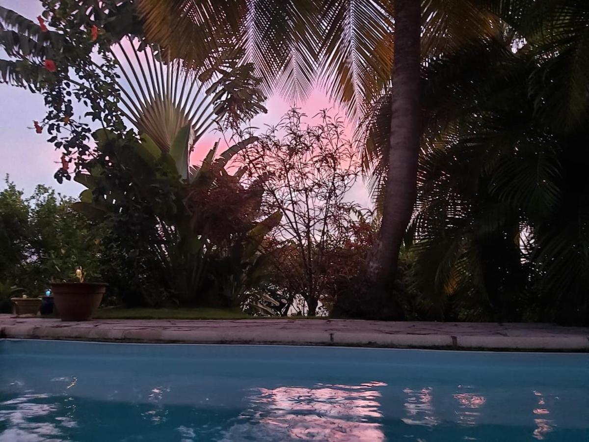 Chambre D'Hote Et Loft Dans Maison De Charme Piscine A Debordement La Villa Gialla Schoelcher Exteriör bild